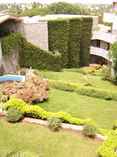 55IIS-garden-View